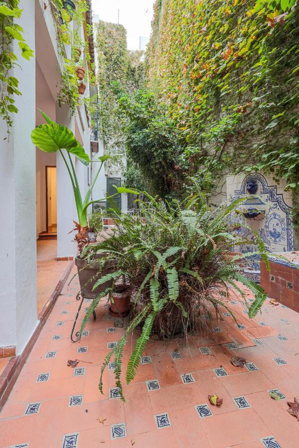 塞维利亚Susona - Oasis De Paz En Barrio Santa Cruz公寓 外观 照片